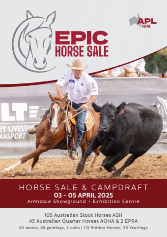 2025 Epic Horse Sale