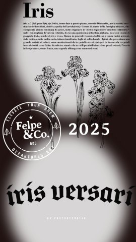 Felpe&co Iris Versari 2025