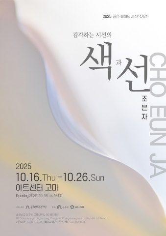 감각하는 시선의 색과 선 :: 조은자展