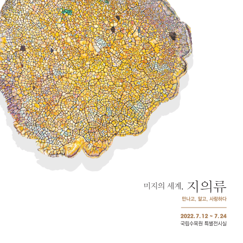 미지의 세계, 지의류 - 김순선展