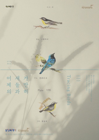 어제의 새들과 가만히 Tracing Birds :: 김지민展