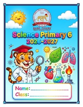 E-Science Prim.6 2026 Ch1,2,3_Handy