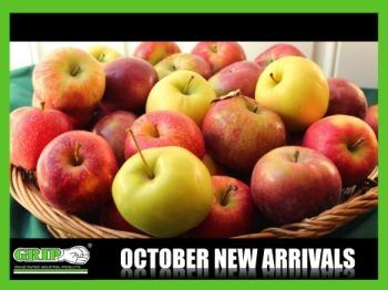 October New Arrivals