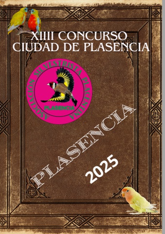 REVISTA CONCURSO 2025