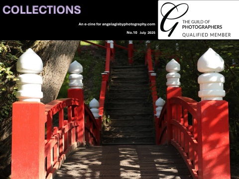 C: 10: E-zine Angela Gisby Edition 10