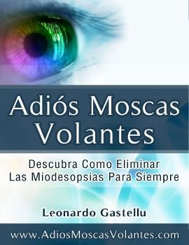 ADIOS MOSCAS VOLANTES PDF GRATIS