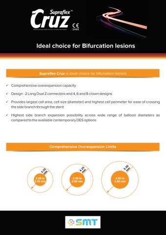 Bifurcation Brochure