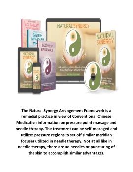 Natural Synergy™ eBook PDF by Emily J. Park
