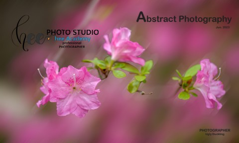 Abstract Photography