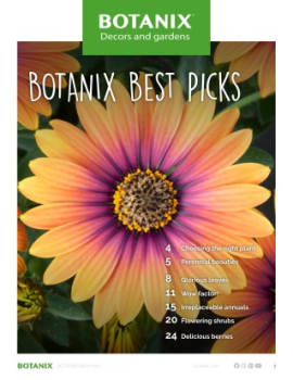 BOTANIX 2022  Best Picks - Our favourite plants