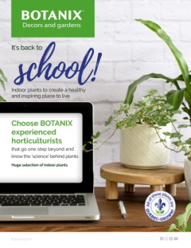 BOTANIX Back to school | Indoor plants