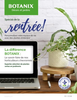 BOTANIX Spécial de la rentrée| Plantes d'intérieur