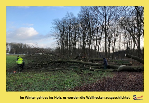 Kalender_Landleben-HVS_02-Februar