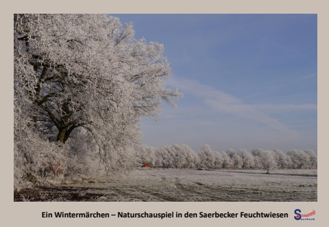 Kalender_Landleben-HVS_12-Dezember