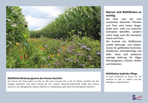 Kalender_Landleben-HVS_06-Juni