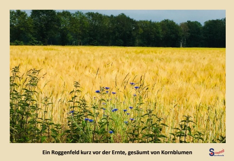 Kalender_Landleben-HVS_07-Juli