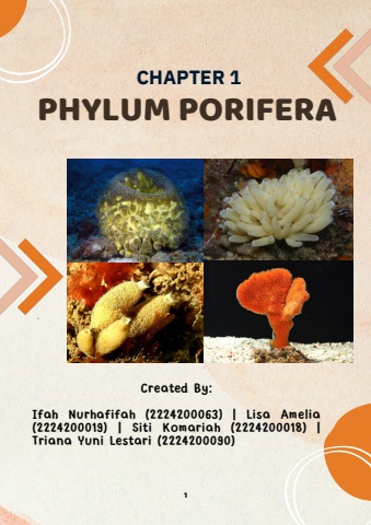 Salinan dari Porifera_Chapter 1