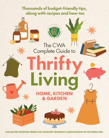 cwa thrifty_emag