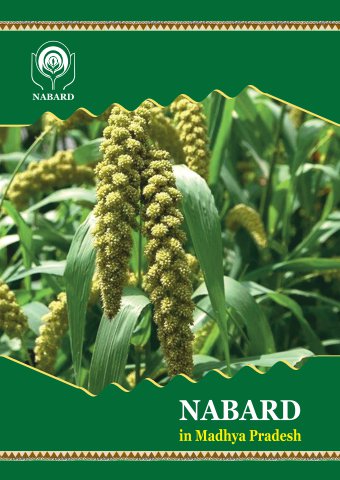 Fianl Nabard in MP