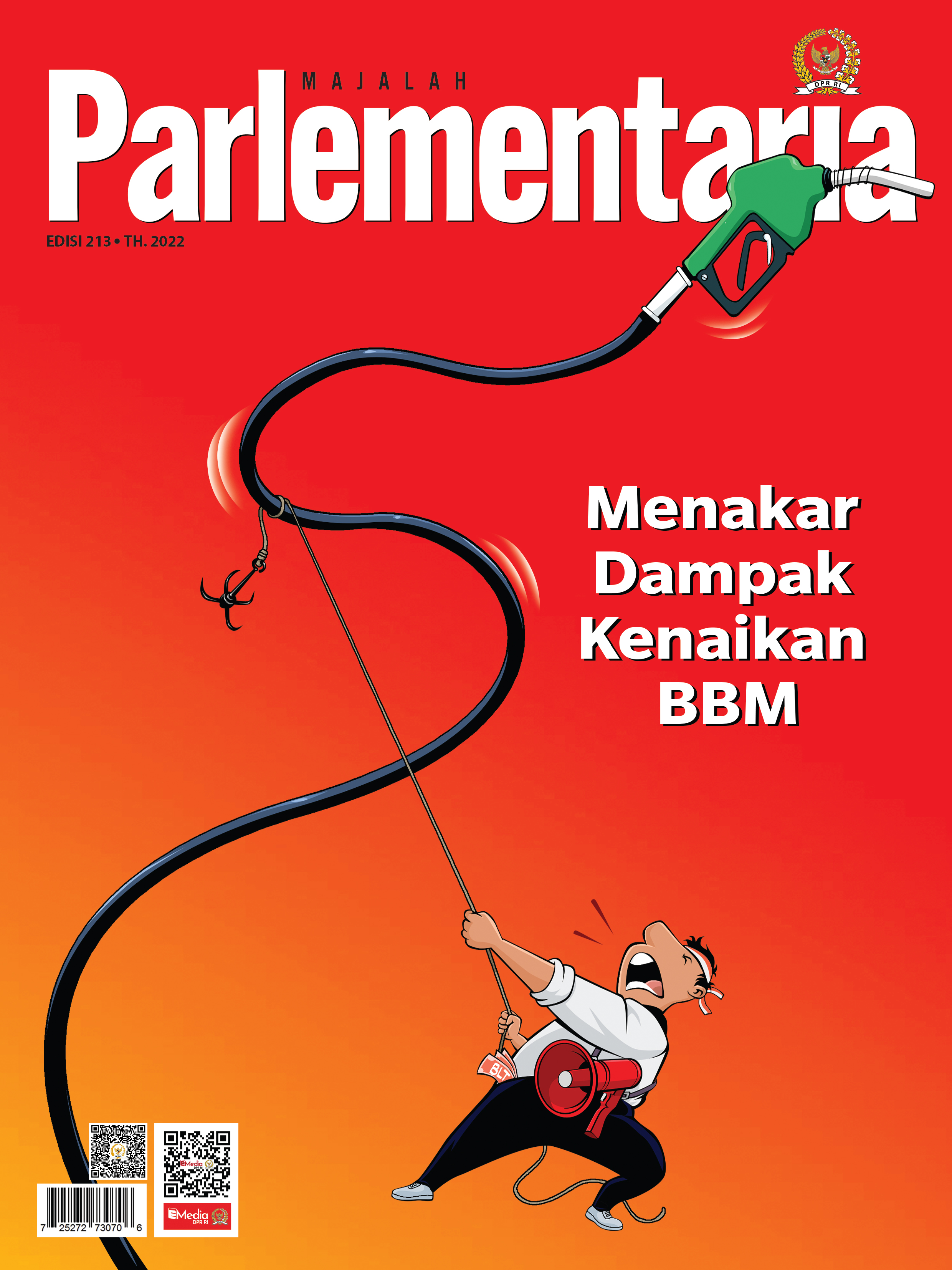 MAJALAH 213