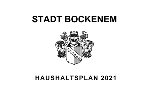 Haushaltsplan_2021