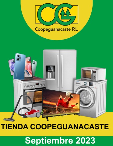 REVISTA