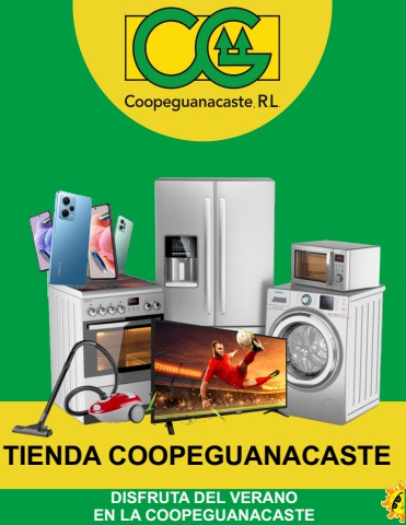 REVISTA