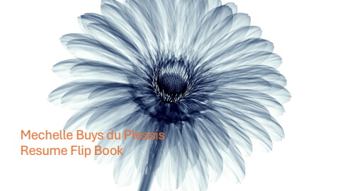 resume in colour 2.0