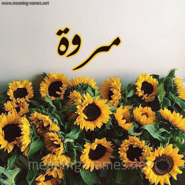 تقنية الواقع المعزز والمحكاة التفاعلية في العلوم