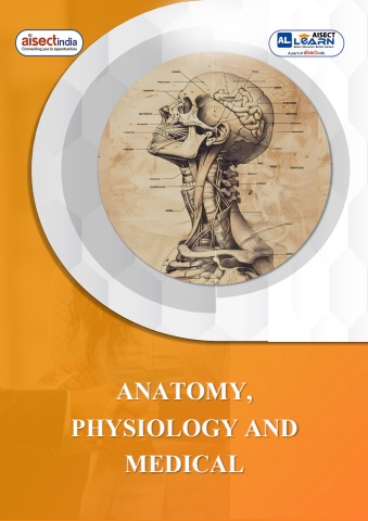 anatomy, physiology and medical terminology