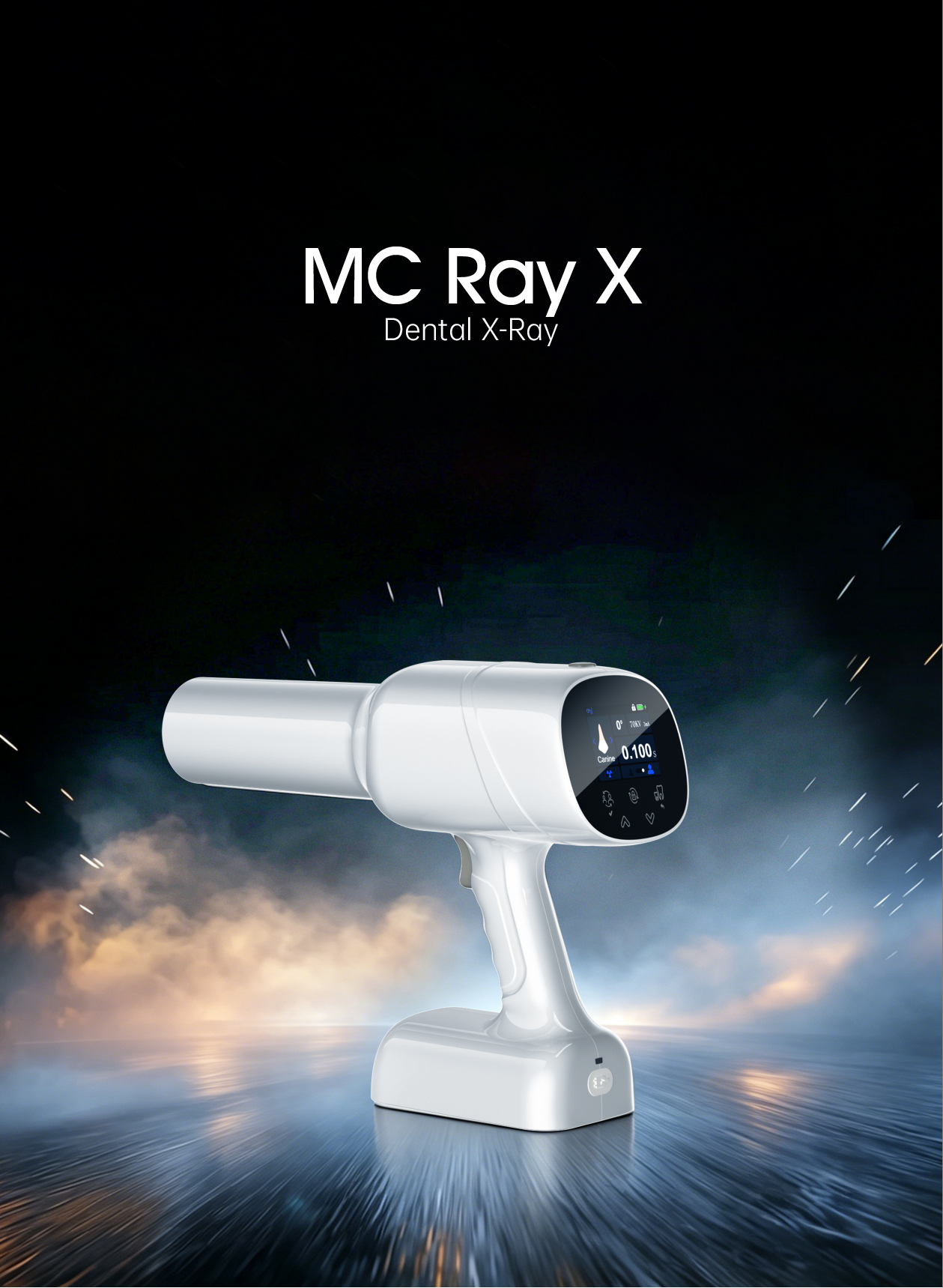 PP DM (MC Ray X) En Neu.