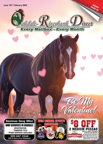 Issue 137, February 2025