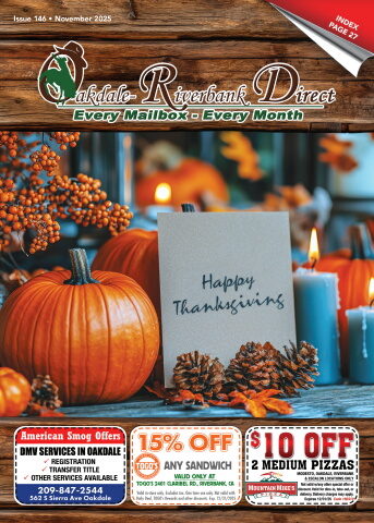 Issue 146, November 2025