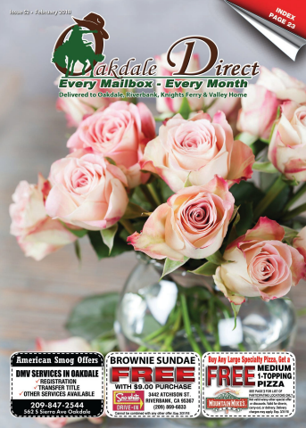 Issue  53, February 2018