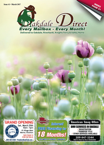 Issue  42, March 2017