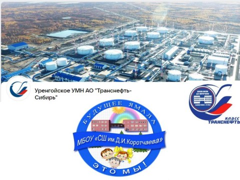 Корпоративный класс Транснефть