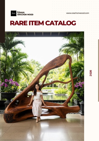 Rare Item Catalog2026
