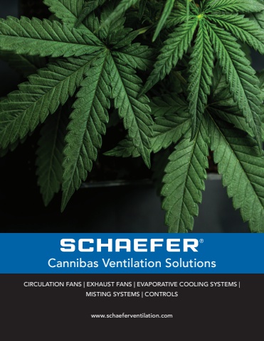 Schaefer Cannibas Catalog