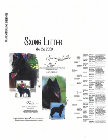 Praiewind Sxong Litter