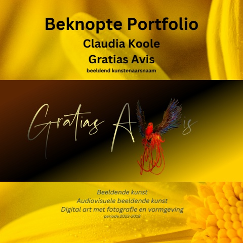 Bijlage CV meeste recente beeldende kunst - Portfolio