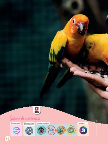 Matemáticamente 4 Unidad 1