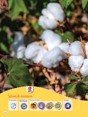 Naturalmente 4 Unidad 5