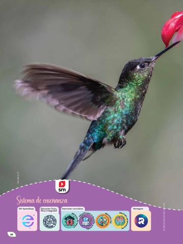 Naturalmente 4 Unidad 2