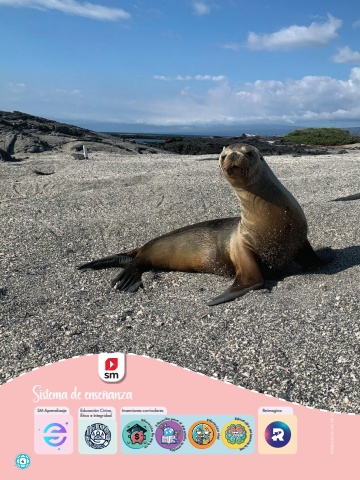 Socialmente 6 Unidad 1 PROF