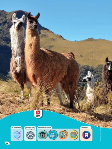 Naturalmente 6 Unidad 3