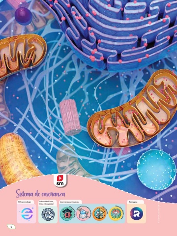 Naturalmente 9 Unidad 1