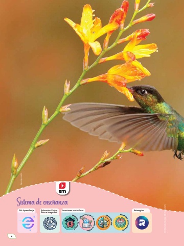 Naturalmente 5 Unidad 1