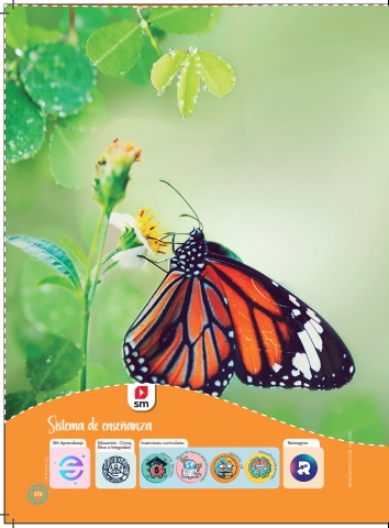 Socialmente 5 Unidad 6