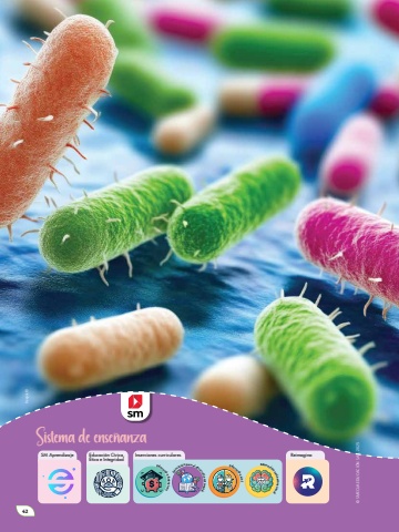 Naturalmente 10 Unidad 2