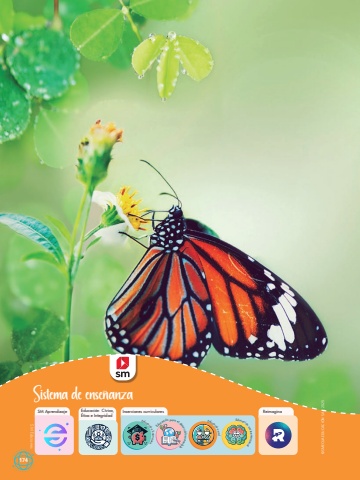 Socialmente 5 Unidad 6 PROF